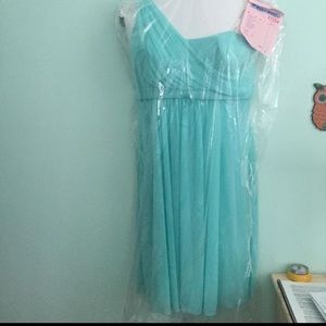 David’s Bridal bridesmaid dress (Spa)